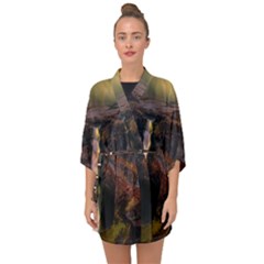 Waterfall Cascade Mountains Cliffs Northern Lights Half Sleeve Chiffon Kimono by danenraven