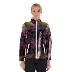 Waterfall Cascade Mountains Cliffs Northern Lights Women s Bomber Jacket by danenraven