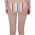 Stripes-g9dd87c8aa 1280 Bikini Bottom View2