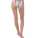 Stripes-g9dd87c8aa 1280 Ring Detail Bikini Bottom View2