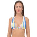 Stripes-g9dd87c8aa 1280 Double Strap Halter Bikini Top View1