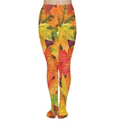 Autumn Background Maple Leaves Tights by artworkshop