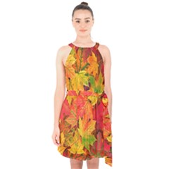 Autumn Background Maple Leaves Halter Collar Waist Tie Chiffon Dress by artworkshop