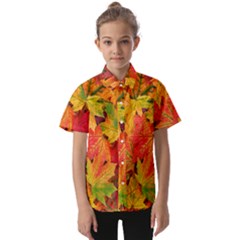 Autumn Background Maple Leaves Kids  Short Sleeve Shirt by artworkshop