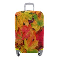 Autumn Background Maple Leaves Luggage Cover (small) by artworkshop