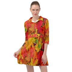 Autumn Background Maple Leaves Mini Skater Shirt Dress