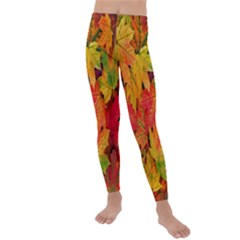 Autumn Background Maple Leaves Kids  Lightweight Velour Leggings by artworkshop