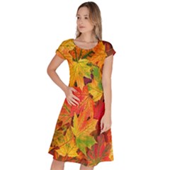 Autumn Background Maple Leaves Classic Short Sleeve Dress by artworkshop