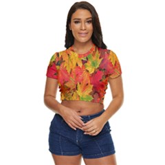 Autumn Background Maple Leaves Side Button Cropped Tee by artworkshop