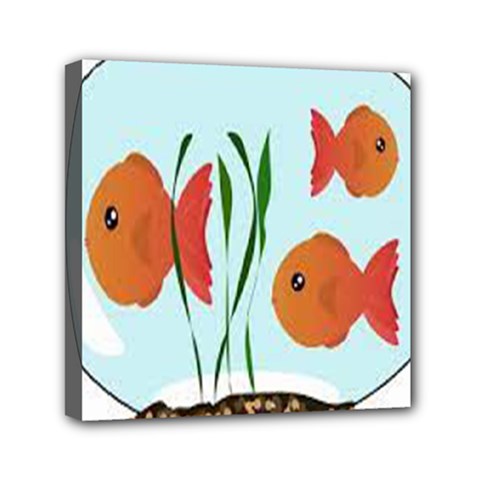 Fishbowl Fish Goldfish Water Mini Canvas 6  X 6  (stretched) by artworkshop