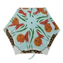 Fishbowl Fish Goldfish Water Mini Folding Umbrellas View1