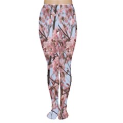 Japanese Sakura Background Tights by artworkshop