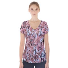 Japanese Sakura Background Short Sleeve Front Detail Top by artworkshop