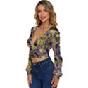 Fractal Glowing Kaleidoscope Long Sleeve Deep-V Velour Top View2