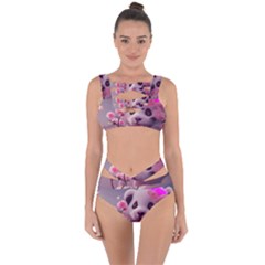 Panda Endangered Protected Bamboo National Treasure Bandaged Up Bikini Set  by Pakemis