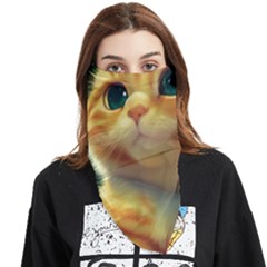 Cute Cat Cat Feline 3d Face Covering Bandana (triangle) by Pakemis