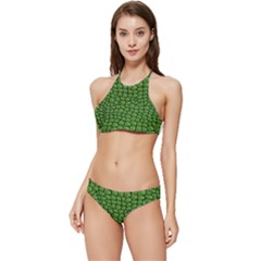 Seamless Pattern Crocodile Leather Banded Triangle Bikini Set by Pakemis