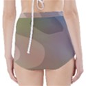 The Land 181 - Abstract Art High-Waisted Bikini Bottoms View2