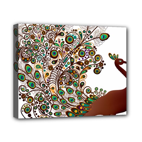 Peacock Graceful Bird Animal Canvas 10  X 8  (stretched) by artworkshop