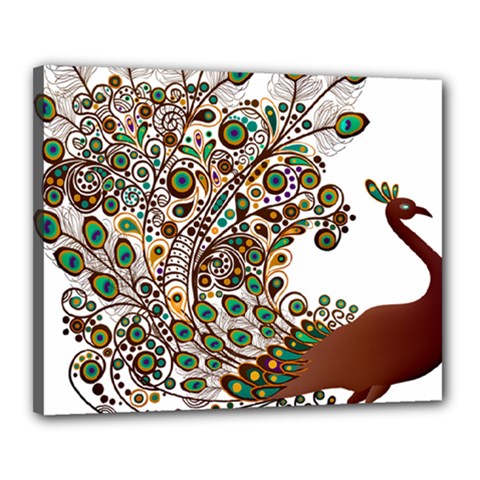 Peacock Graceful Bird Animal Canvas 20  X 16  (stretched) by artworkshop