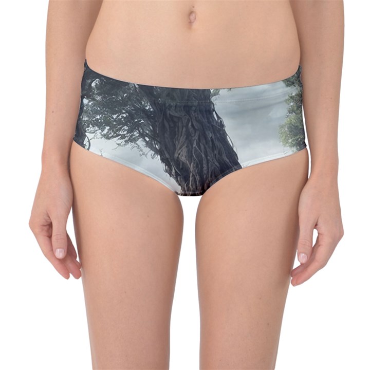 Trees Forest Woods Drawing Fantasy Dream Mid-Waist Bikini Bottoms