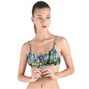 Forest Wood Nature Lake Swamp Water Trees Tie Up Cut Bikini Top View1