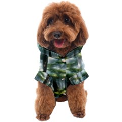 Forest Wood Nature Lake Swamp Water Trees Dog Coat by Uceng