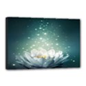 Sparkle Lotus Canvas 18  x 12  (Stretched) View1