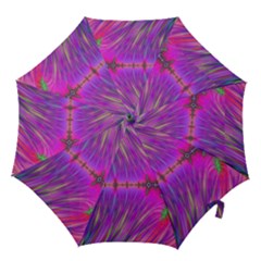 Fractal Fractals Abstract Art Hook Handle Umbrellas (small) by Ravend