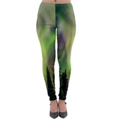 Aurora Borealis In Sky Over Forest Lightweight Velour Leggings by danenraven