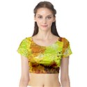 Lake Dallol In Danakil Depression Ethiopia Short Sleeve Crop Top View1