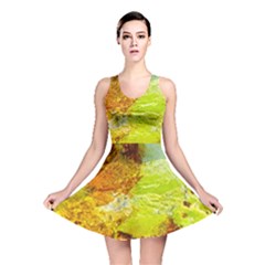 Lake Dallol In Danakil Depression Ethiopia Reversible Skater Dress by danenraven