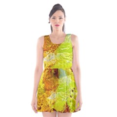 Lake Dallol In Danakil Depression Ethiopia Scoop Neck Skater Dress by danenraven