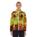 Lake Dallol In Danakil Depression Ethiopia Women s Bomber Jacket View1