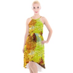 Lake Dallol In Danakil Depression Ethiopia High-low Halter Chiffon Dress  by danenraven