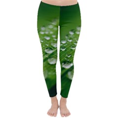 Green Water Leaf Classic Winter Leggings by artworkshop