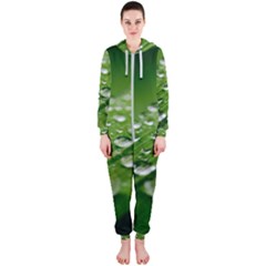 Green Water Leaf Hooded Jumpsuit (ladies) by artworkshop