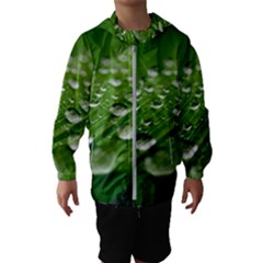 Green Water Leaf Kids  Hooded Windbreaker by artworkshop