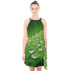 Green Water Leaf Halter Collar Waist Tie Chiffon Dress by artworkshop