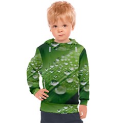 Green Water Leaf Kids  Hooded Pullover by artworkshop