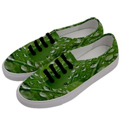 Green Water Leaf Men s Classic Low Top Sneakers by artworkshop