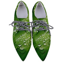 Green Water Leaf Pointed Oxford Shoes by artworkshop