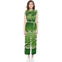 Green Water Leaf Women s Frill Top Chiffon Jumpsuit by artworkshop