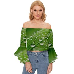 Green Water Leaf Off Shoulder Flutter Bell Sleeve Top by artworkshop