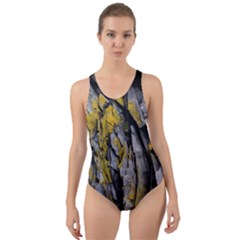 Rock Wall Crevices  Cut-out Back One Piece Swimsuit by artworkshop