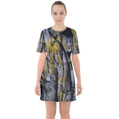 Rock Wall Crevices  Sixties Short Sleeve Mini Dress by artworkshop