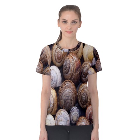 Snail Shells Pattern Arianta Arbustorum Women s Cotton Tee by artworkshop