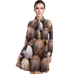 Snail Shells Pattern Arianta Arbustorum Long Sleeve Chiffon Shirt Dress by artworkshop