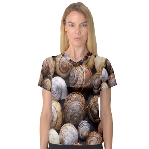 Snail Shells Pattern Arianta Arbustorum V-neck Sport Mesh Tee by artworkshop