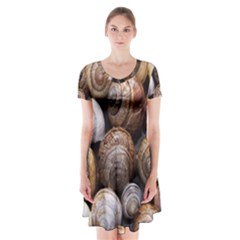 Snail Shells Pattern Arianta Arbustorum Short Sleeve V-neck Flare Dress by artworkshop